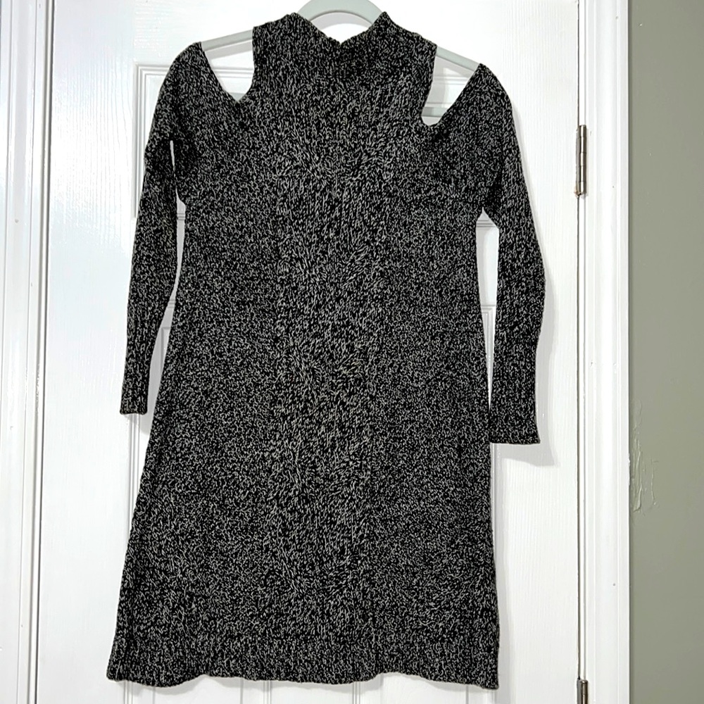 Express Sweater Dress